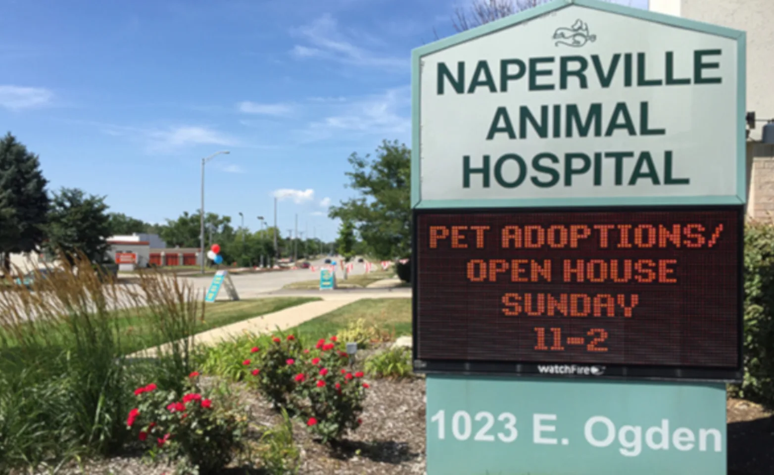 Digital Sign Outside Naperville Animal Hospital